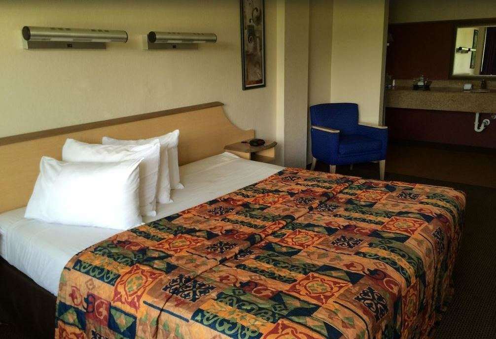 Econo Lodge Palm Harbor - Clearwater Bilik gambar